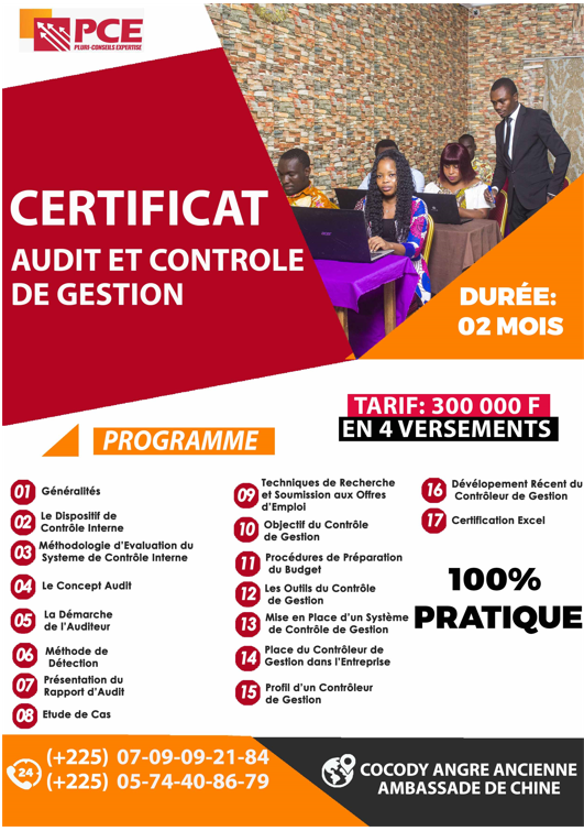 Audit Et Contrôle De Gestion