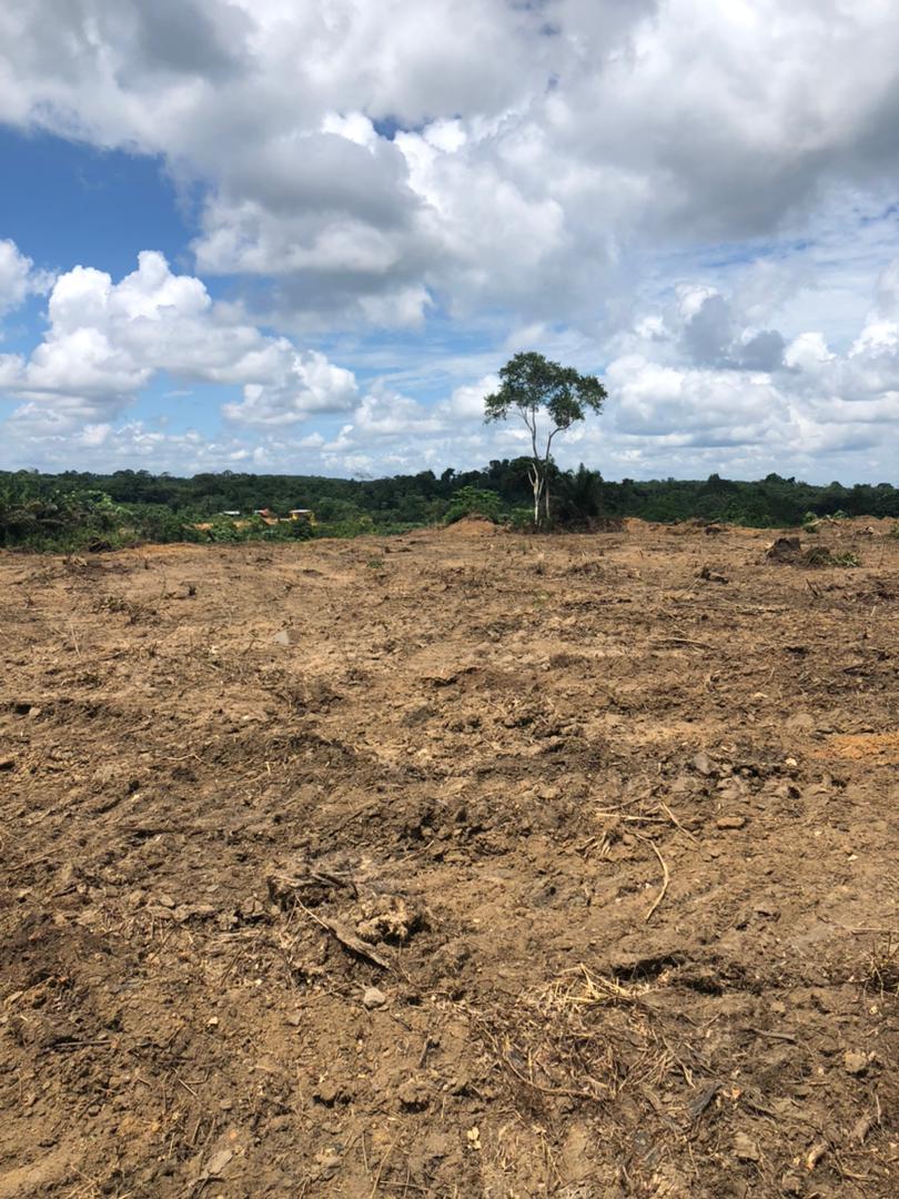 Ventes de terrains a Brofodoumé a 17km d’Abidjan